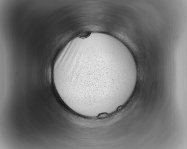 X0000095960014200802011131