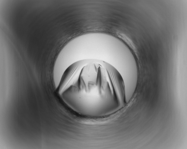 X0000095960017200802011131