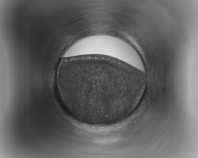 X0000095960018200802011131