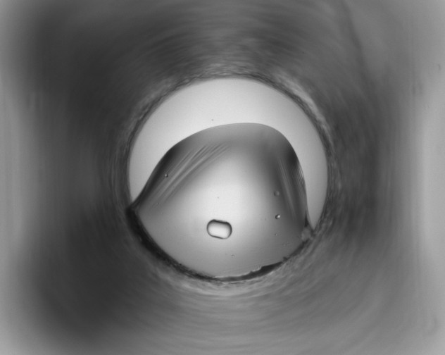 X0000095960019200802011131