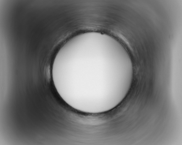 X0000095960020200802011131