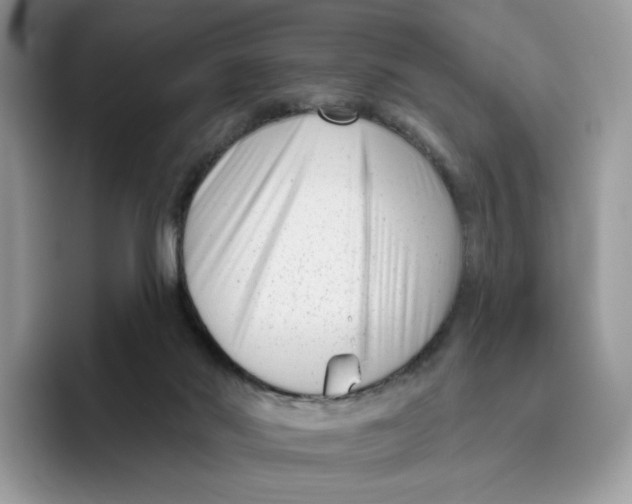 X0000095960022200802011131