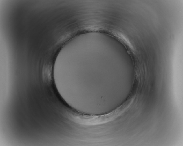 X0000095960023200802011131