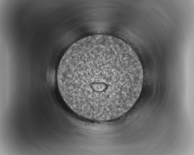 X0000095960024200802011131