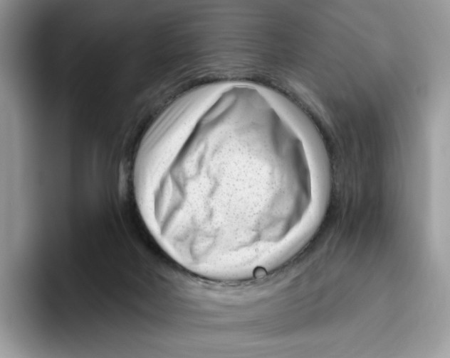 X0000095960026200802011131