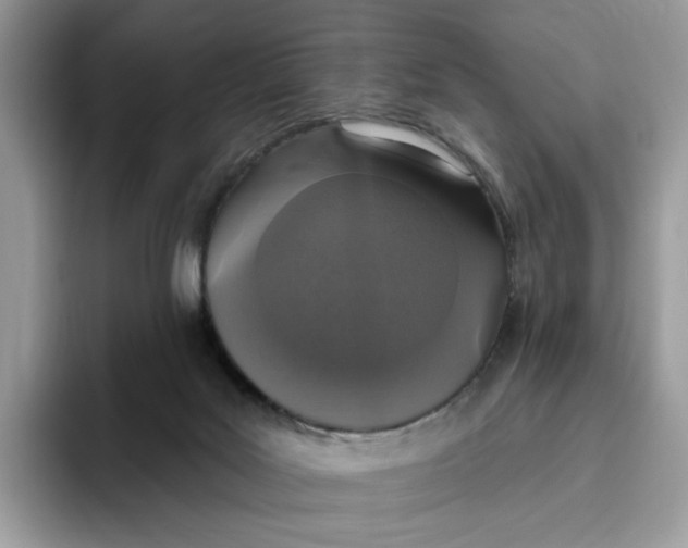 X0000095960027200802011131