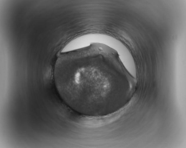 X0000095960029200802011131