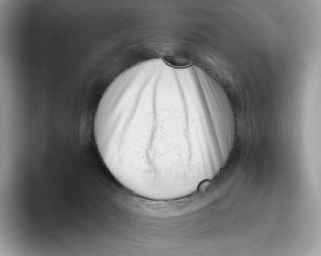 X0000095960030200802011131