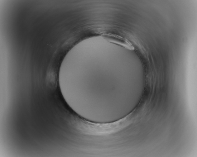 X0000095960031200802011131