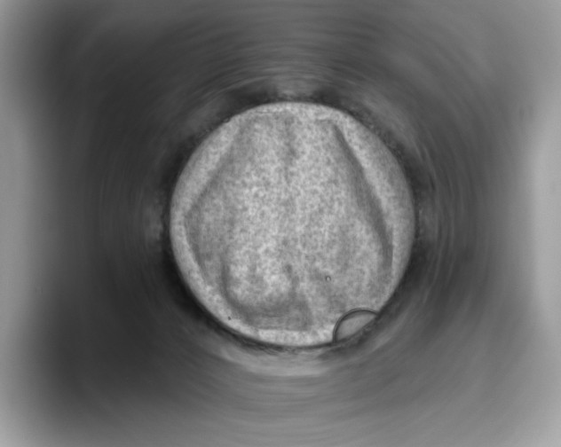 X0000095960032200802011131