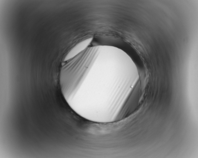 X0000095960033200802011131