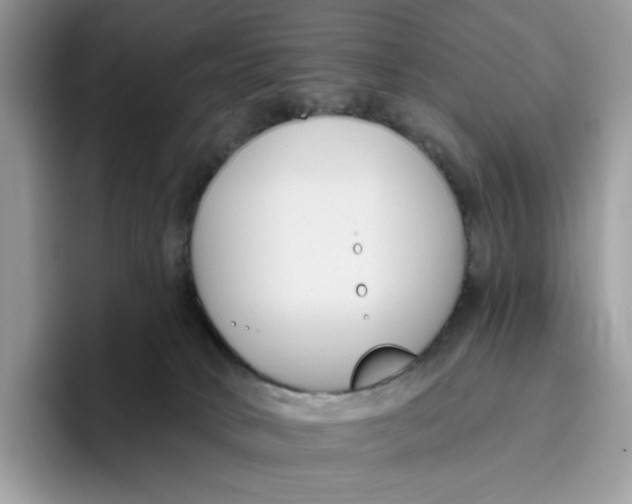 X0000095960034200802011131