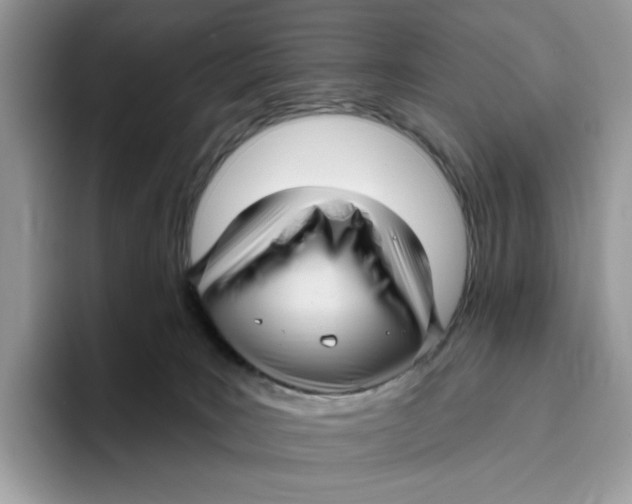 X0000095960035200802011131