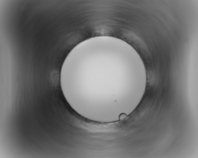 X0000095960036200802011131