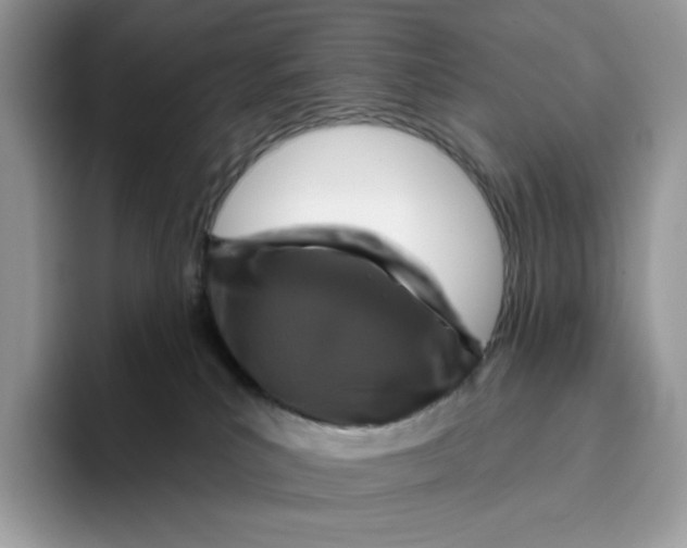 X0000095960039200802011131