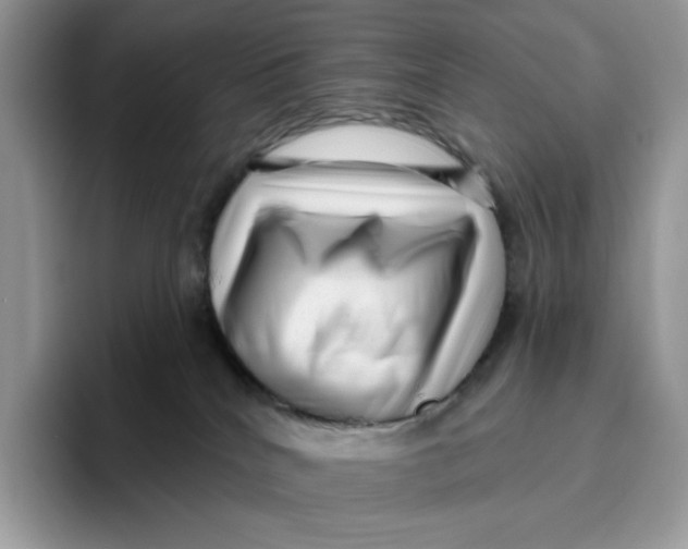 X0000095960040200802011131