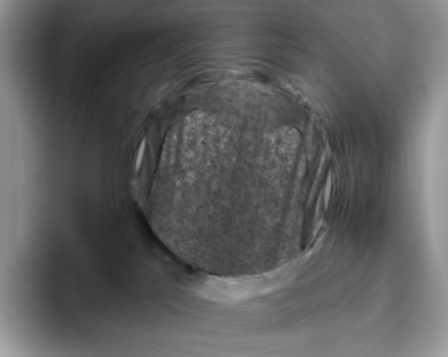 X0000095960041200802011131