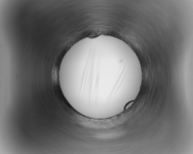 X0000095960042200802011131