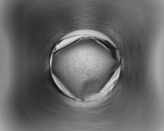 X0000095960043200802011131