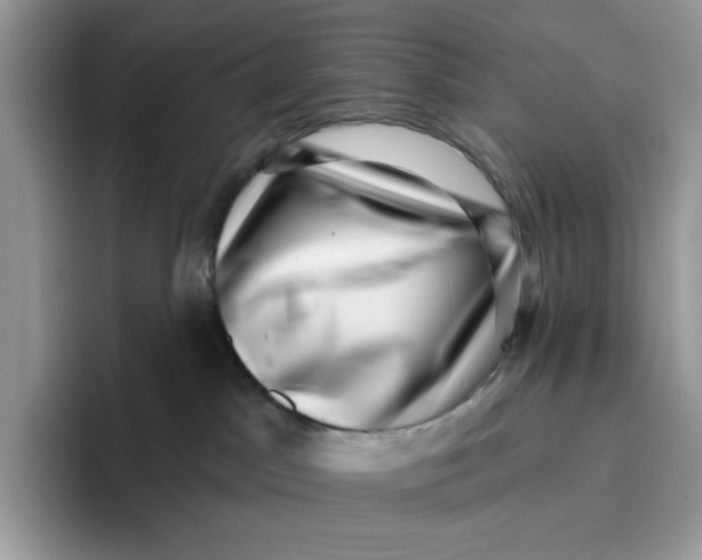 X0000095960045200802011131