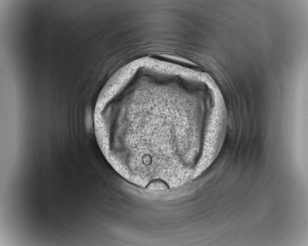 X0000095960046200802011131