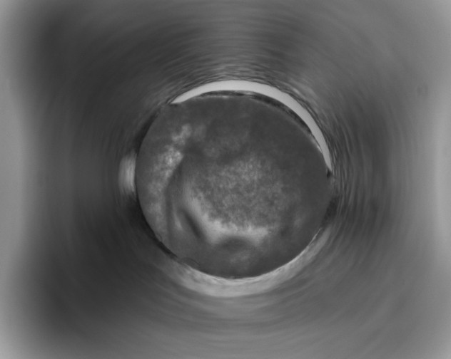 X0000095960047200802011130