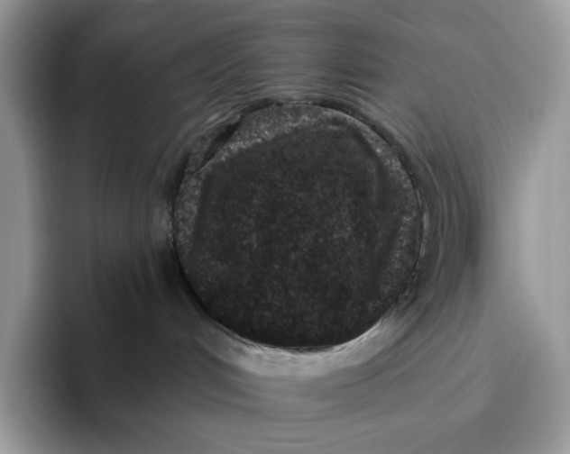 X0000095960048200802011130