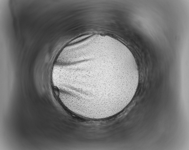 X0000095960049200802011130