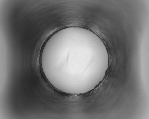 X0000095960050200802011130