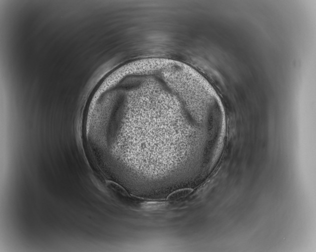 X0000095960051200802011130