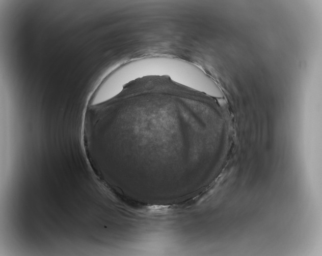 X0000095960052200802011130