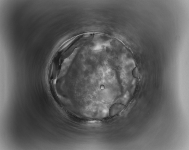 X0000095960053200802011130