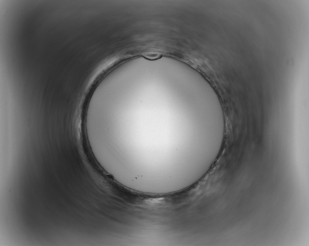 X0000095960054200802011130