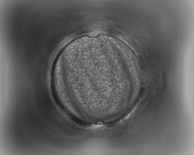 X0000095960055200802011130