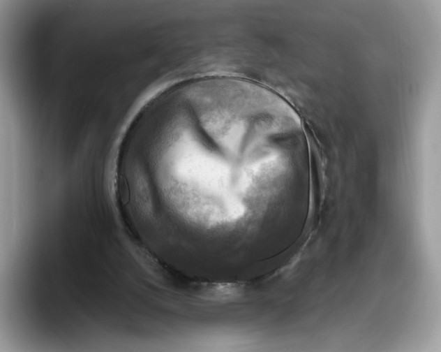 X0000095960056200802011130