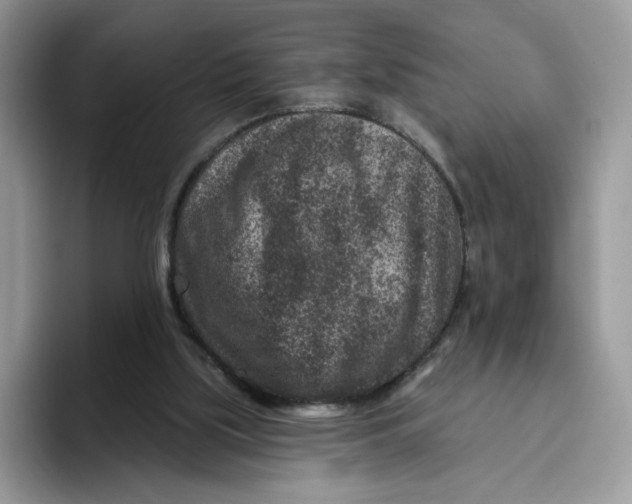 X0000095960059200802011130