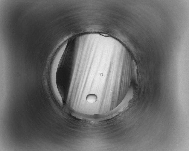 X0000095960060200802011130