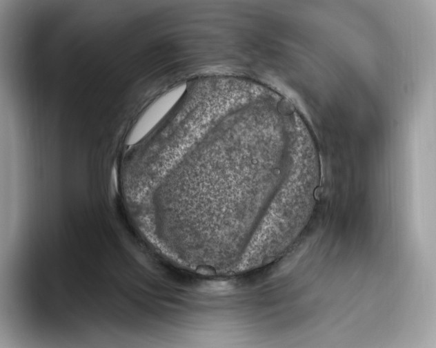 X0000095960061200802011130