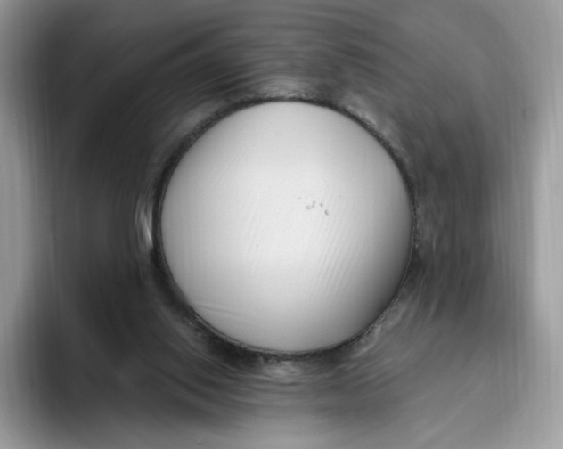 X0000095960062200802011130