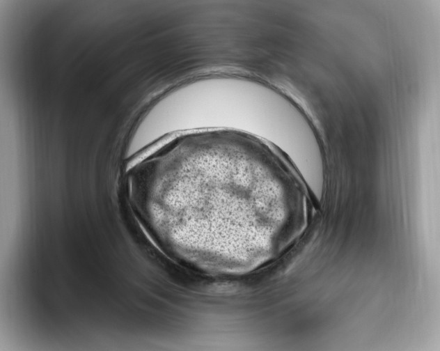 X0000095960063200802011130