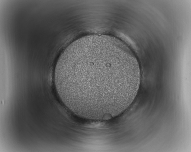 X0000095960065200802011130