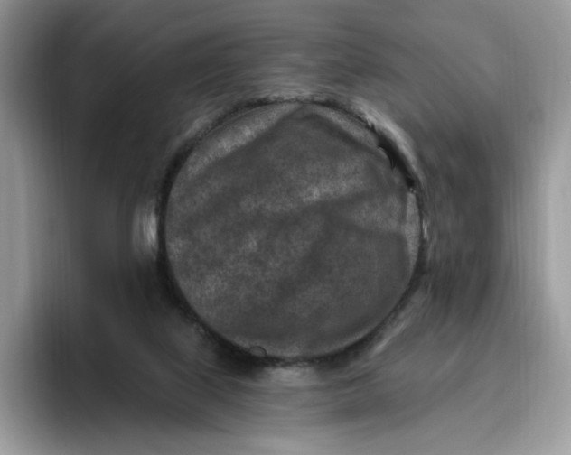 X0000095960067200802011130