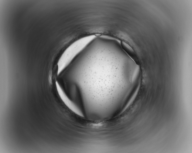 X0000095960068200802011130