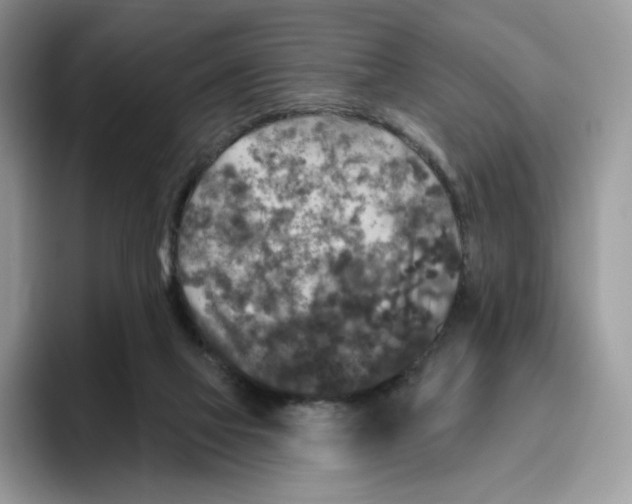 X0000095960069200802011130