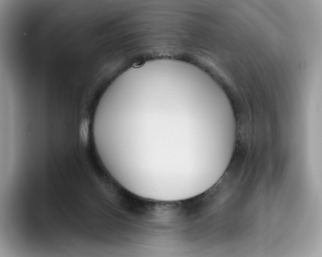 X0000095960070200802011130