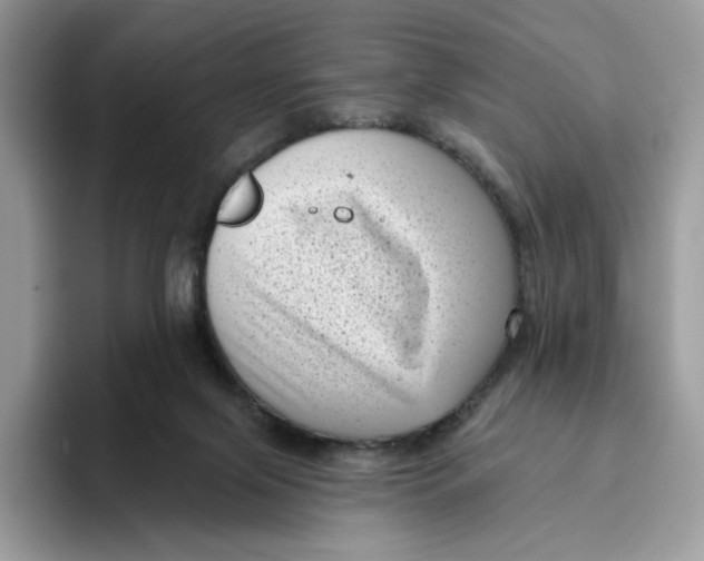 X0000095960071200802011130