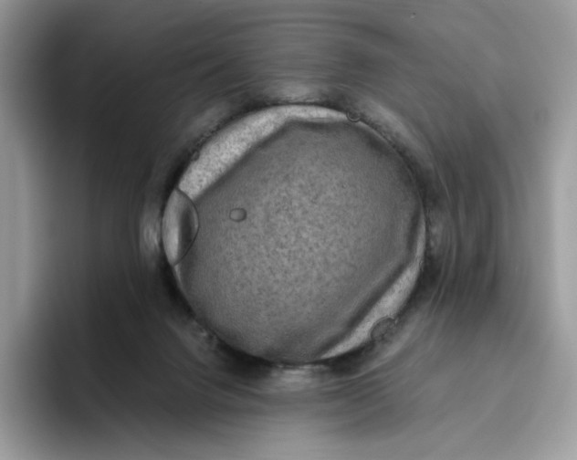 X0000095960072200802011130