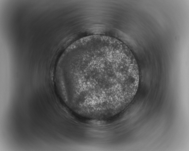 X0000095960073200802011130