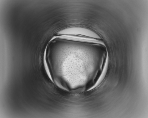 X0000095960074200802011130