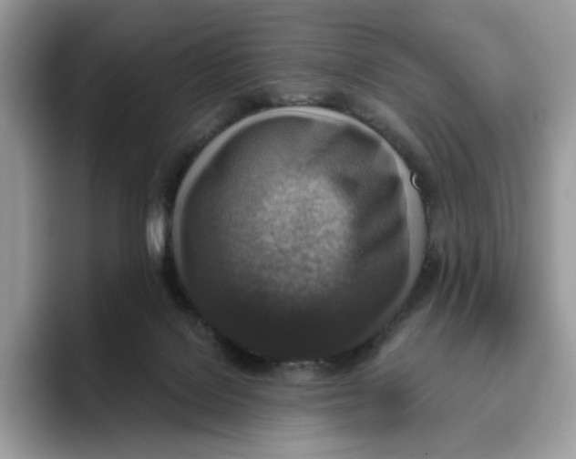 X0000095960076200802011130